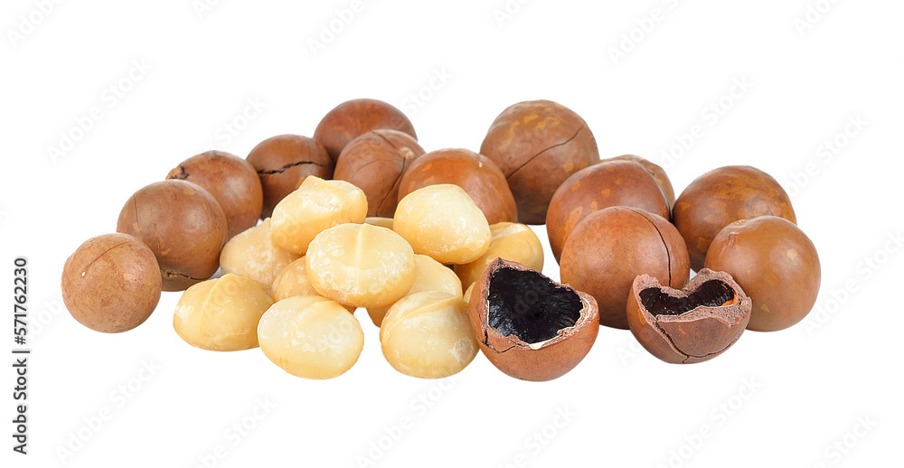 Obraz premium macadamia nuts on transparent png