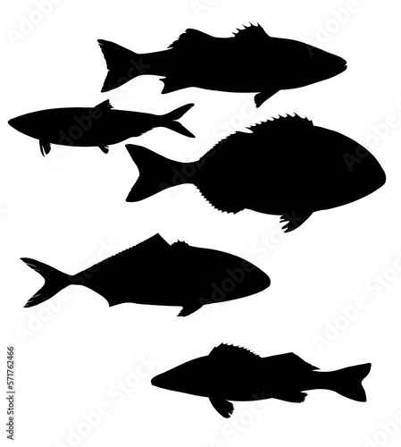 Set of Five Fish Silhouettes