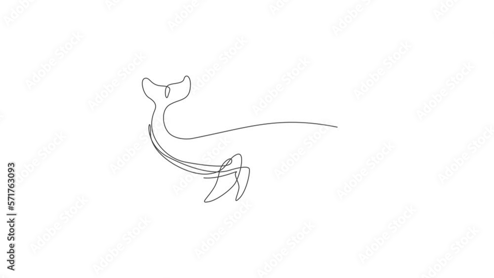 Animation of one single line drawing of giant blue whale. Protected species in pacific ocean. Gigantic underwater creature concept. Continuous line self draw animated. Full length motion. Animation of one single line drawing of giant blue whale. Protected species in pacific ocean. Gigantic underwater creature concept. Continuous line self draw animated. Full length motion.