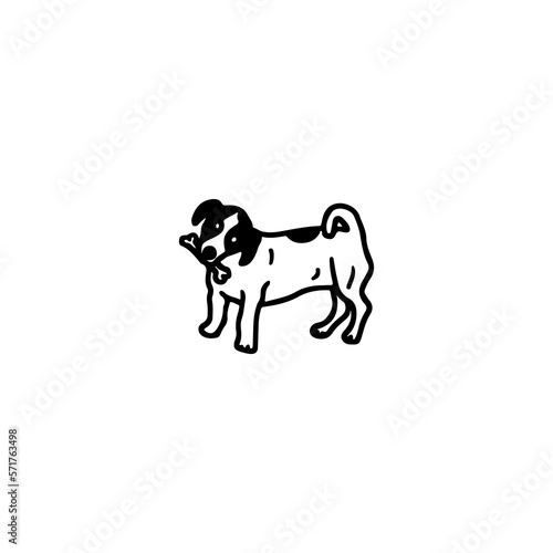 vector illustration of a poodle dog