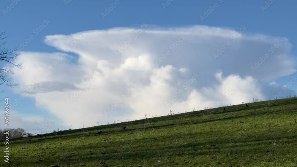 Mushroom shaped white cloud on sunny green hill field, black crows birds flying Mushroom shaped white cloud on sunny green hill field, black crows birds flying