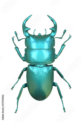 stag beetle Lucanus cervus male isolated. PNG transparency.