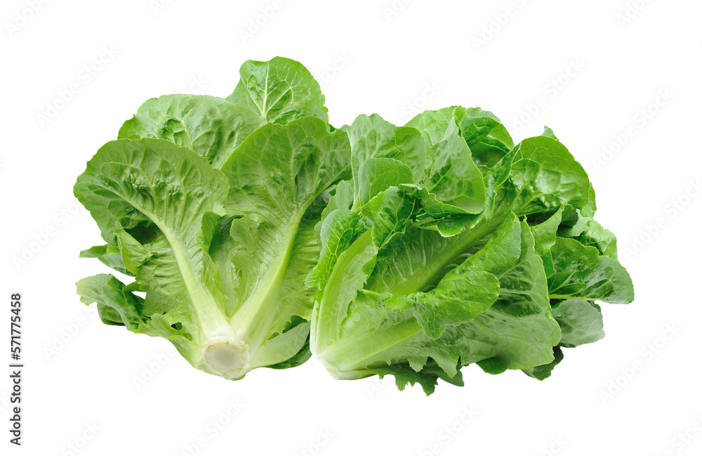 cos isolated on transparent png cos isolated on transparent png