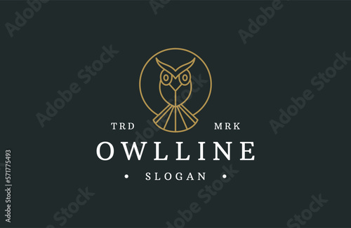 Owl logo and icon concept. The logo is available in vector. © Syifah
