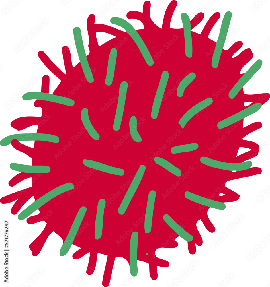 Fototapeta premium Rambutan Fruit Flat Illustration