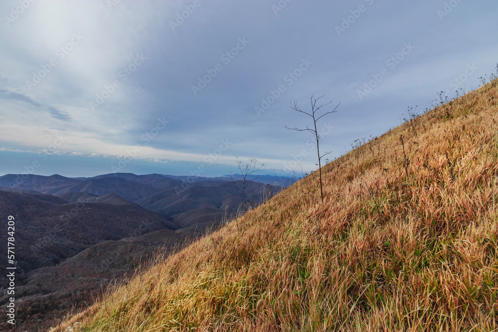 Dry grass on the slope of a high mountain. Landscape of a mountain range on an autumn morning. Panoramic view of the Caucasus mountains. View of the mountain range under a cloudy sky. Dry grass on the slope of a high mountain. Landscape of a mountain range on an autumn morning. Panoramic view of the Caucasus mountains. View of the mountain range under a cloudy sky.