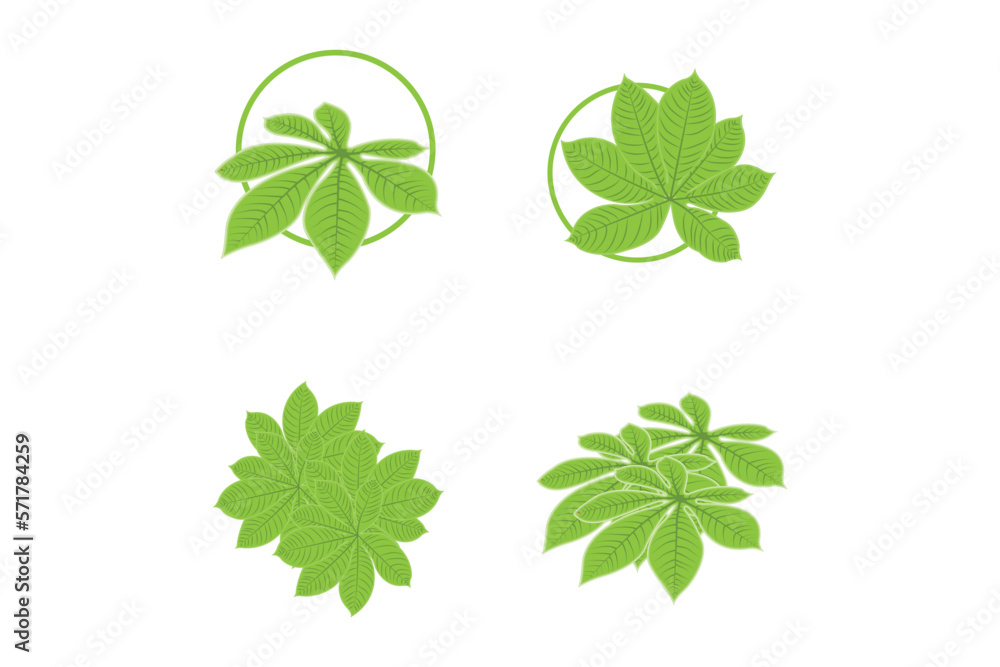 Leaf Lines logo design, Background Icons Artwork Artwork Colors pAstel