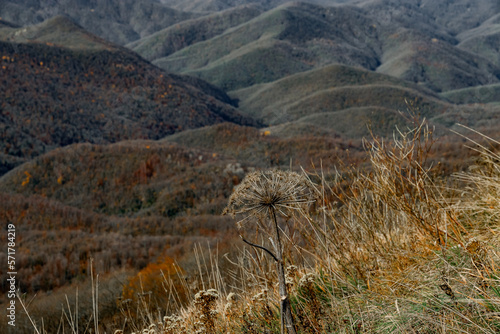 Mountain landscape with beautiful Caucasian nature. Landscape of a mountain range on an autumn morning. View of the mountain range under a cloudy sky. Panoramic view of the Caucasus mountains. 