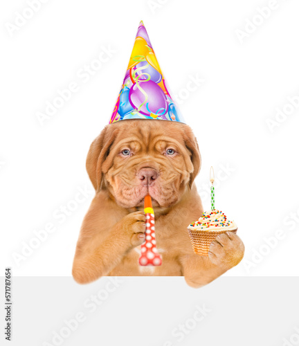 Mastiff puppy wearing party cap blowing in party horn holds birthday cupcake with burning candle above empty white banner. isolated on white background