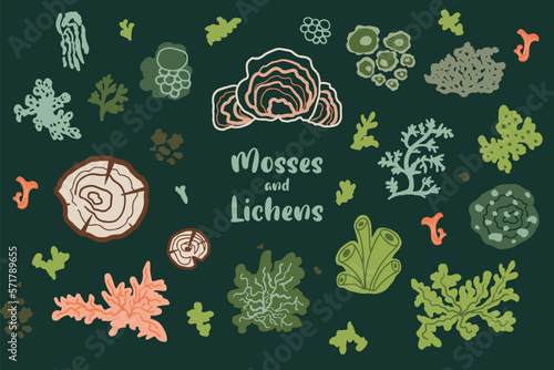 Moss, lichens, stump fungi, mushroom vector set. Forest biology and botanical isolated elements collection. Cute cartoon ecological and organic nature illustration in dark green color. Woodland symbol