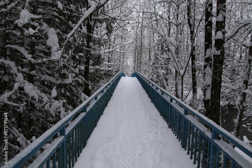 A metal bridge with blue painted rails © David