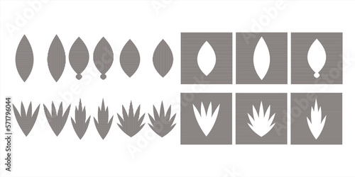 Vector illustration of various leaf shapes