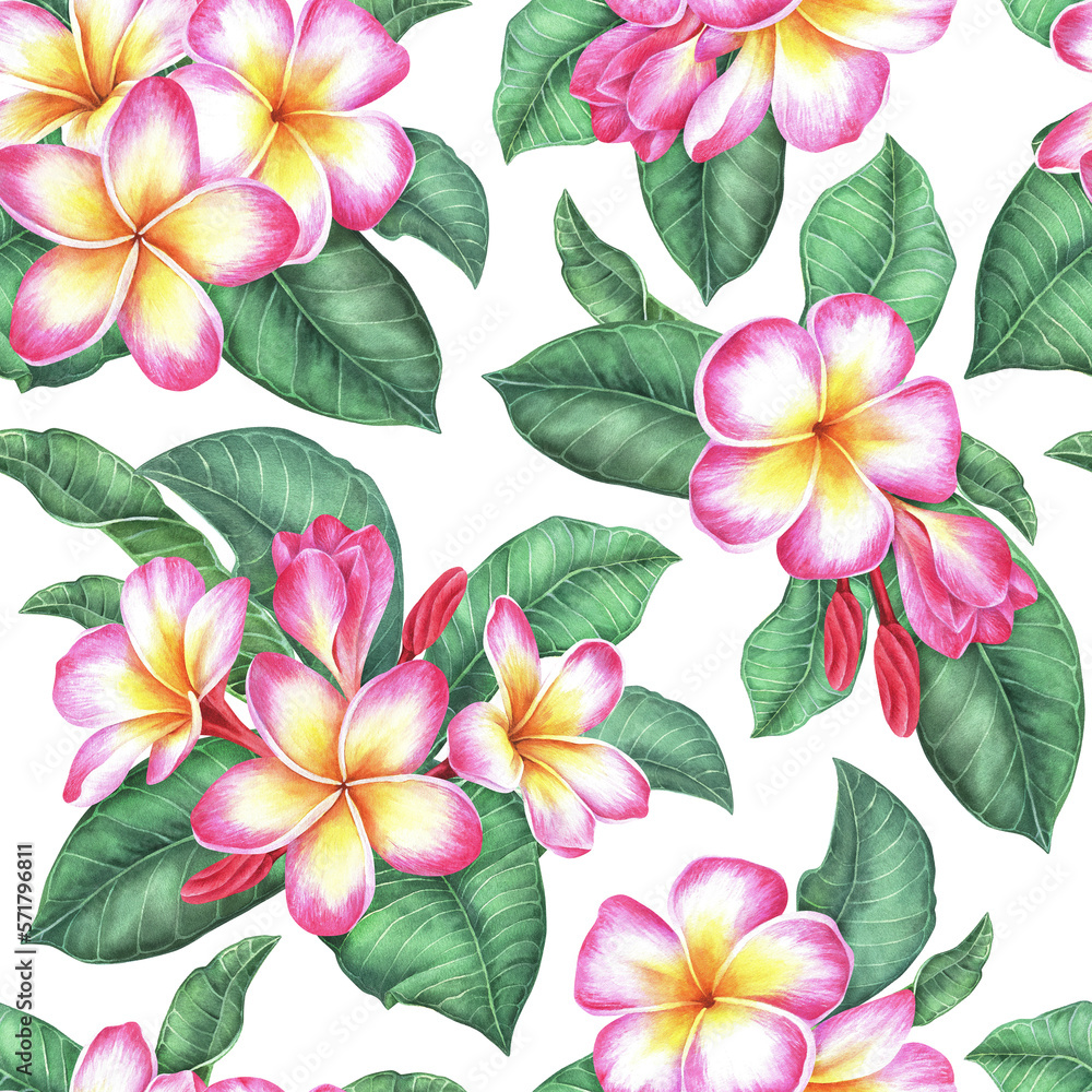 Obraz premium Pink-yellow plumeria seamless pattern. Frangipani flower with leaves.Watercolor illustration.Isolated on a white background.For the design of wrapping paper, fabric, women's clothing, notepad, napkin