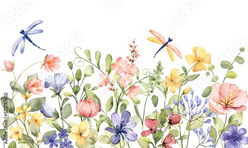 Watercolor wild flowers, dragonfly border banner for stationary, greetings, etc. floral decoration. Hand drawing.