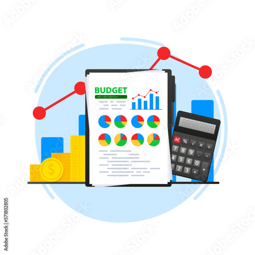 Budget document. Financial accounting. Financial audit research analysis