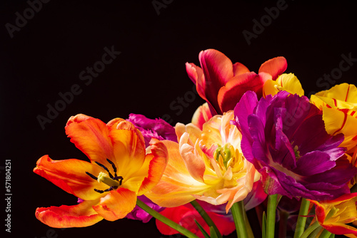 nice tulips in the vase
