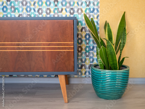 Interior in sixties style with potted plant, detail. Sansevieria laurentii in turquoise flowerpot and wooden furniture indoors