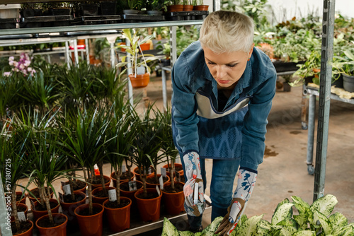 Spring time. Interior with lots of plants. Take care of house plants.