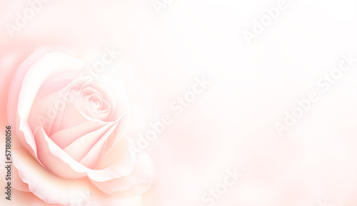 Horizontal banner with rose of pink color on blurred background. Copy space for text. Mock up template