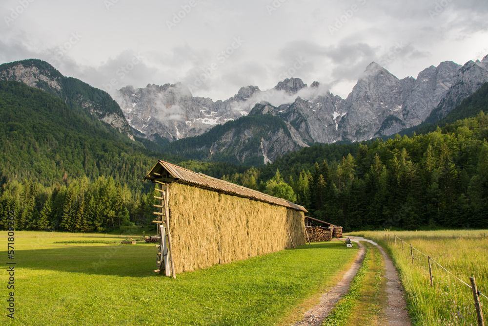 View of the Julian Alps in 
Slovenian village Gozd Martuljek. A hay shed and a path leading into the forest with mountains in the background. 