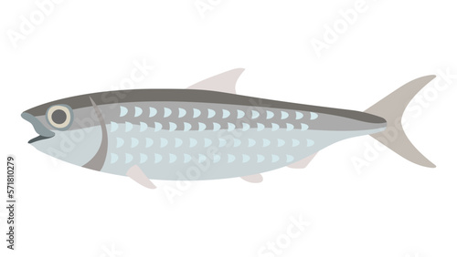 ニシンのフラットなベクターイラスト