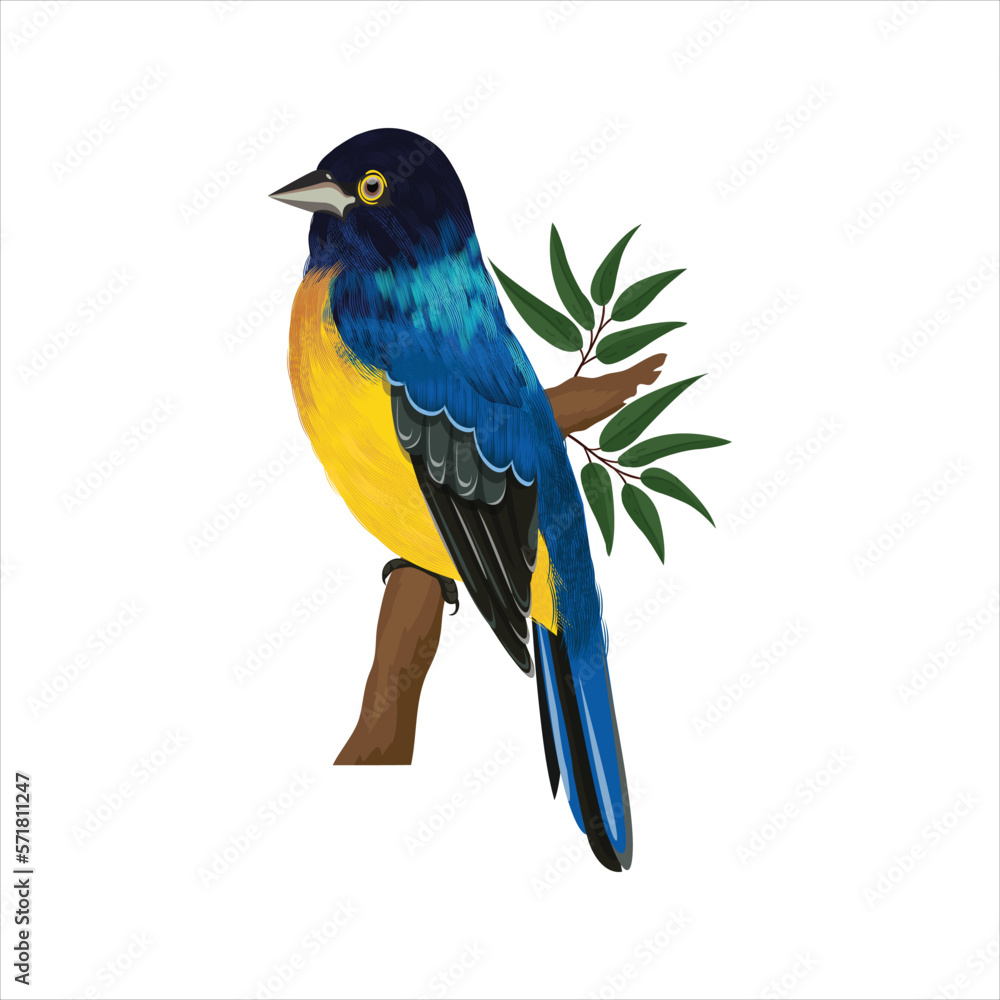 blue and yellow macaw.free vectors fills doumlode.birds vectors fills dounlode.nice birds vectors fills dounlode.