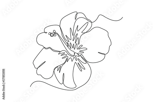 Single one line drawing Hibiscus Flower. Beautiful flower concept. Continuous line draw design graphic vector illustration.