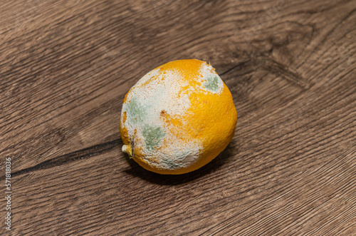 Rotten spoiled lemon isolated on white background 