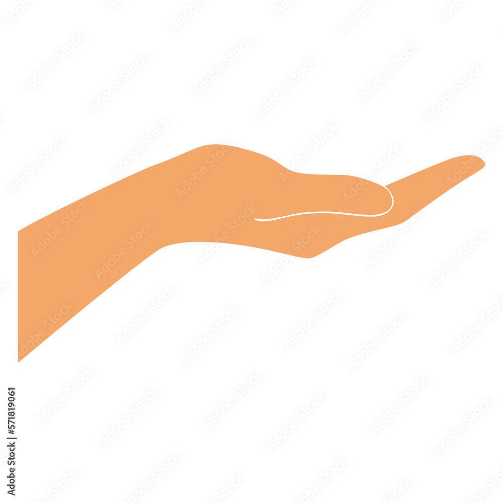 Hand Illustration Hand Illustration