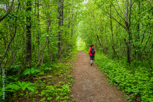 Obraz na plátně Walk in the woods, Valdez, Alaska