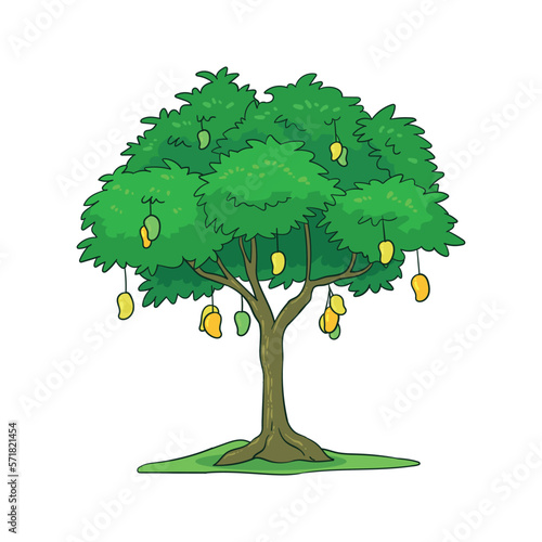 hand drawn mango tree