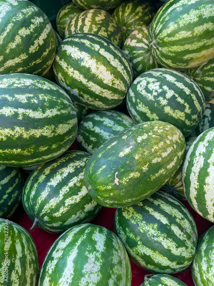 lots of green watermelons vitamins taste food fruits healthy food as background lots of green watermelons vitamins taste food fruits healthy food as background