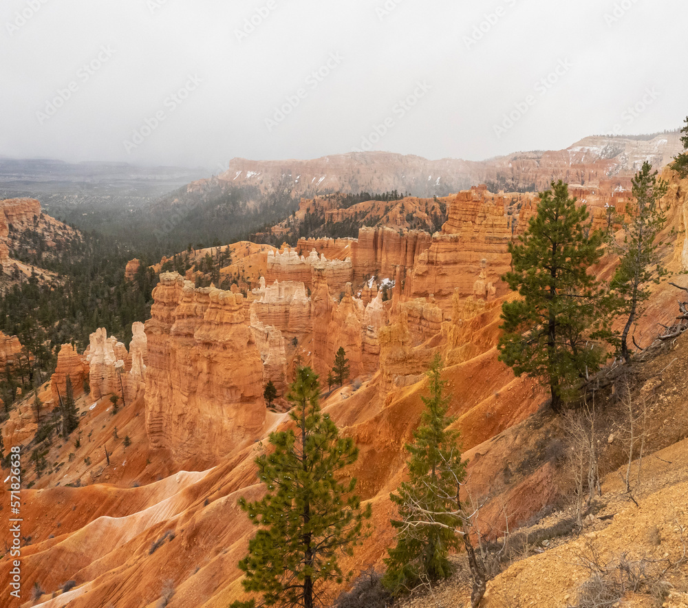 Gorgeous red colored hoodoo formations in Bryce Canyon National Park in Utah, USA.