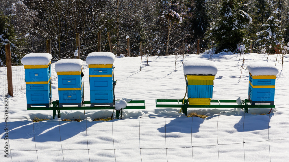 Φωτογραφία Yellow and blue hives for beekeeping  covered in snow in winter in Beskid Mountains, Poland