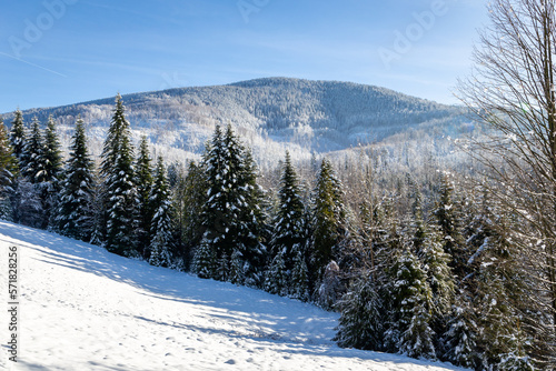 Winter landscape of Beskid Mountains with Romanka peak and coniferous forest covered with snow, Wegierska Gorka, Poland. photo