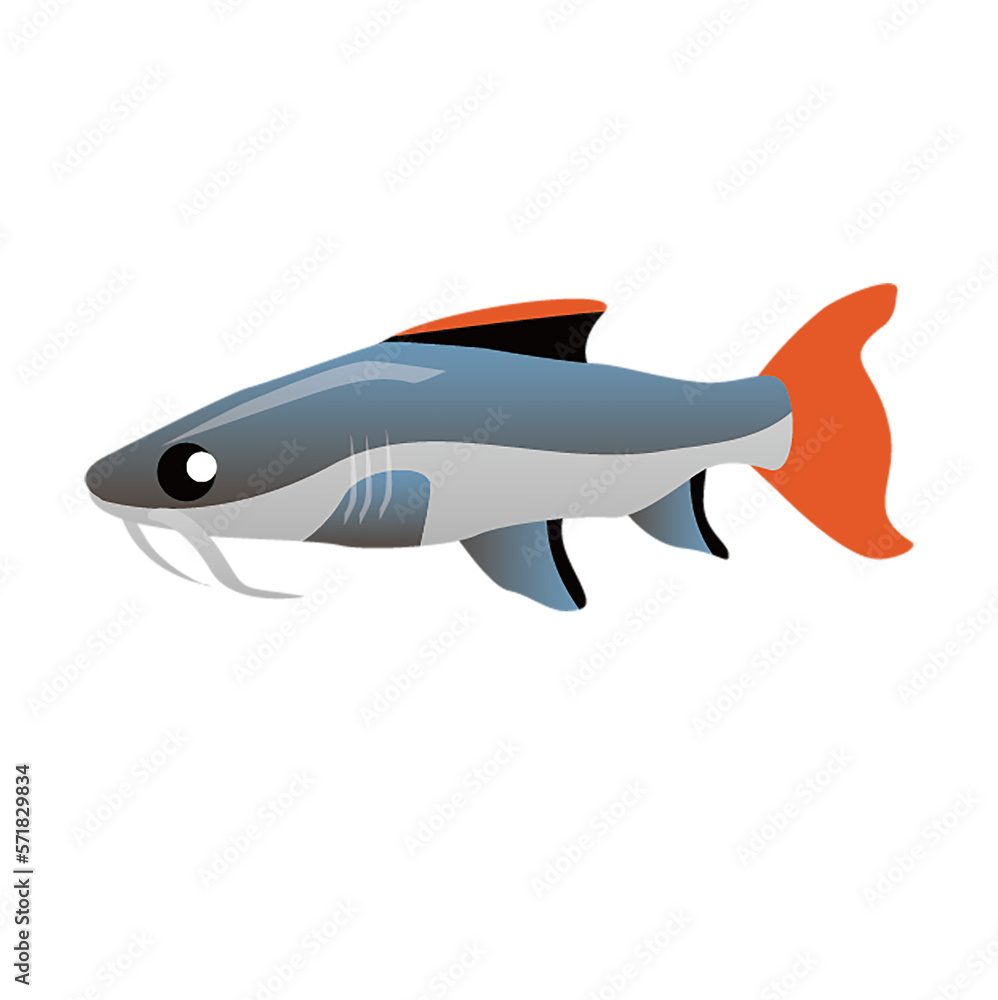 fish isolated on white background fish isolated on white background