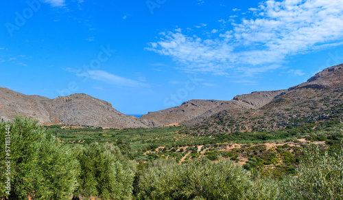 Olivenhain in Südoskreta bei Palekastro 