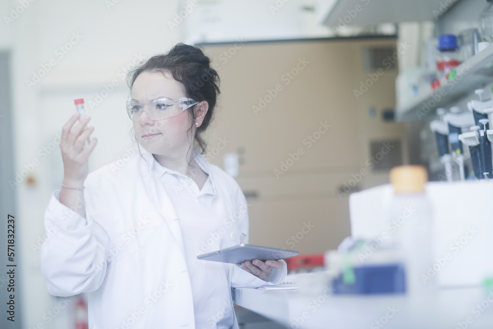 young scientist female with tablet in a laboratory young scientist female with tablet in a laboratory