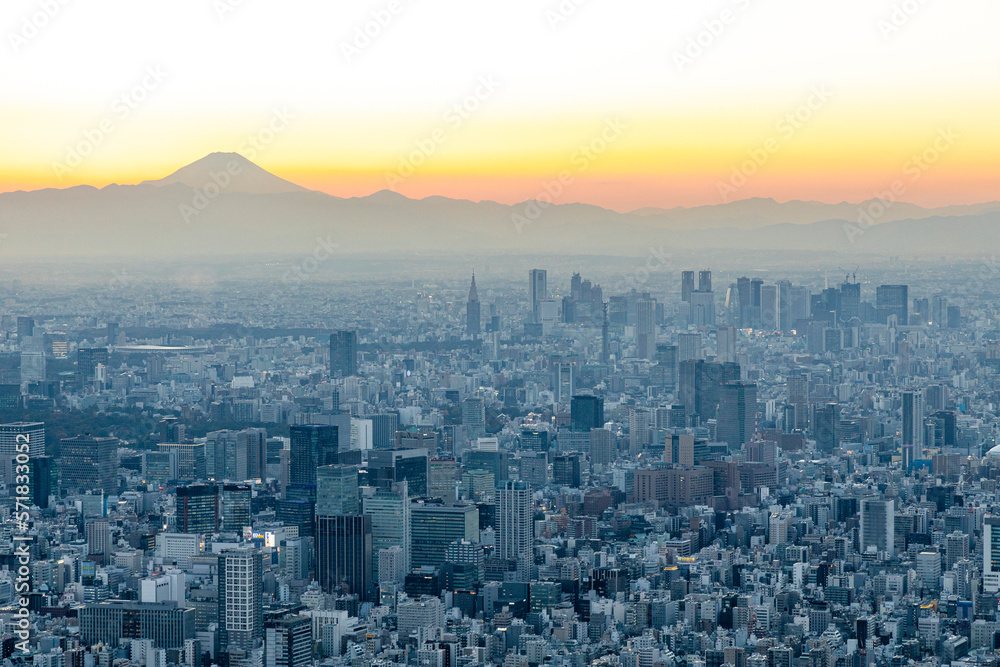 夕方の富士山と東京の街並み