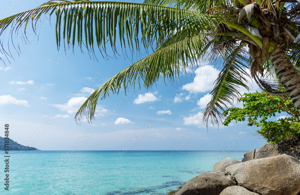 Tropical beach with palm trees Stock Photo | Adobe Stock