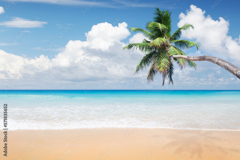 Sea, sand beach and palm tree