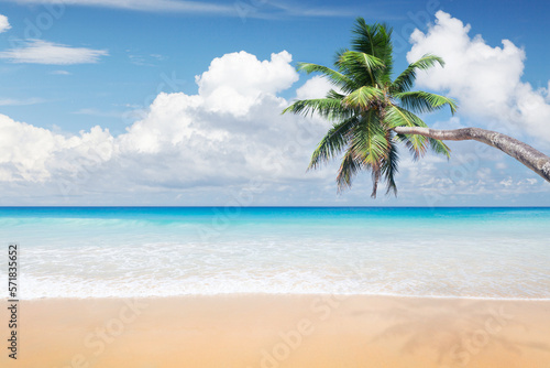 Sea, sand beach and palm tree © karandaev