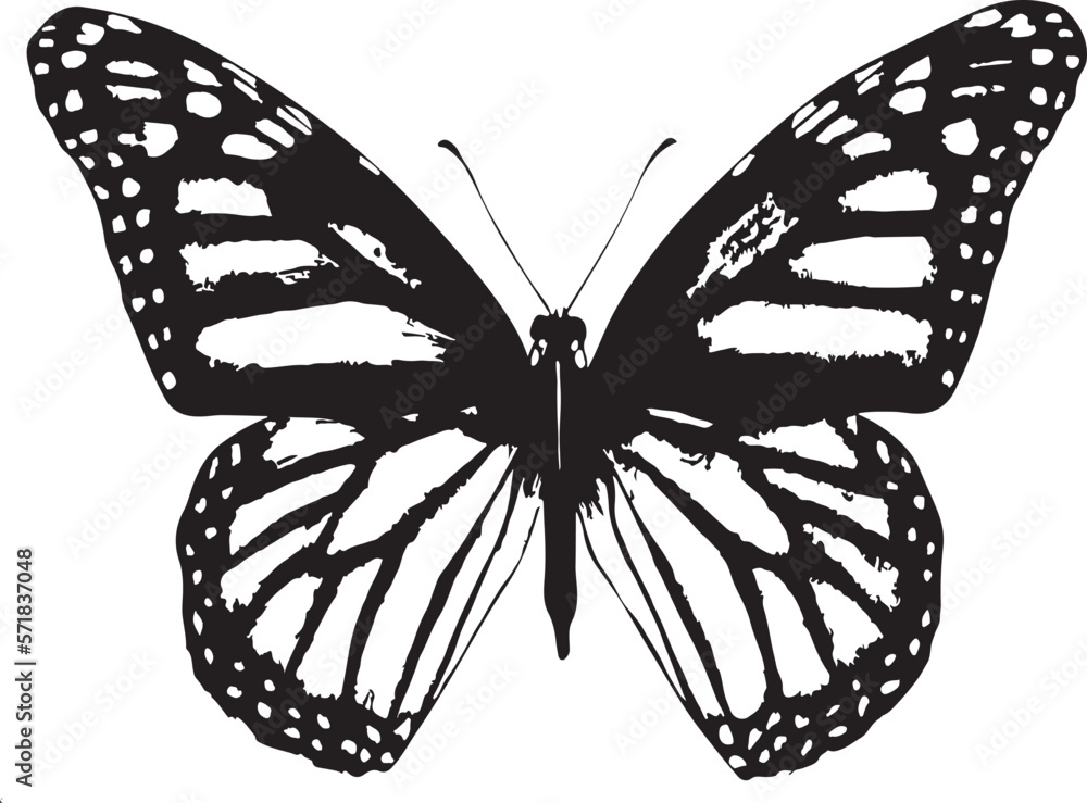 Vetor de black butterfly drawing, wall art, painting, t-shirt print