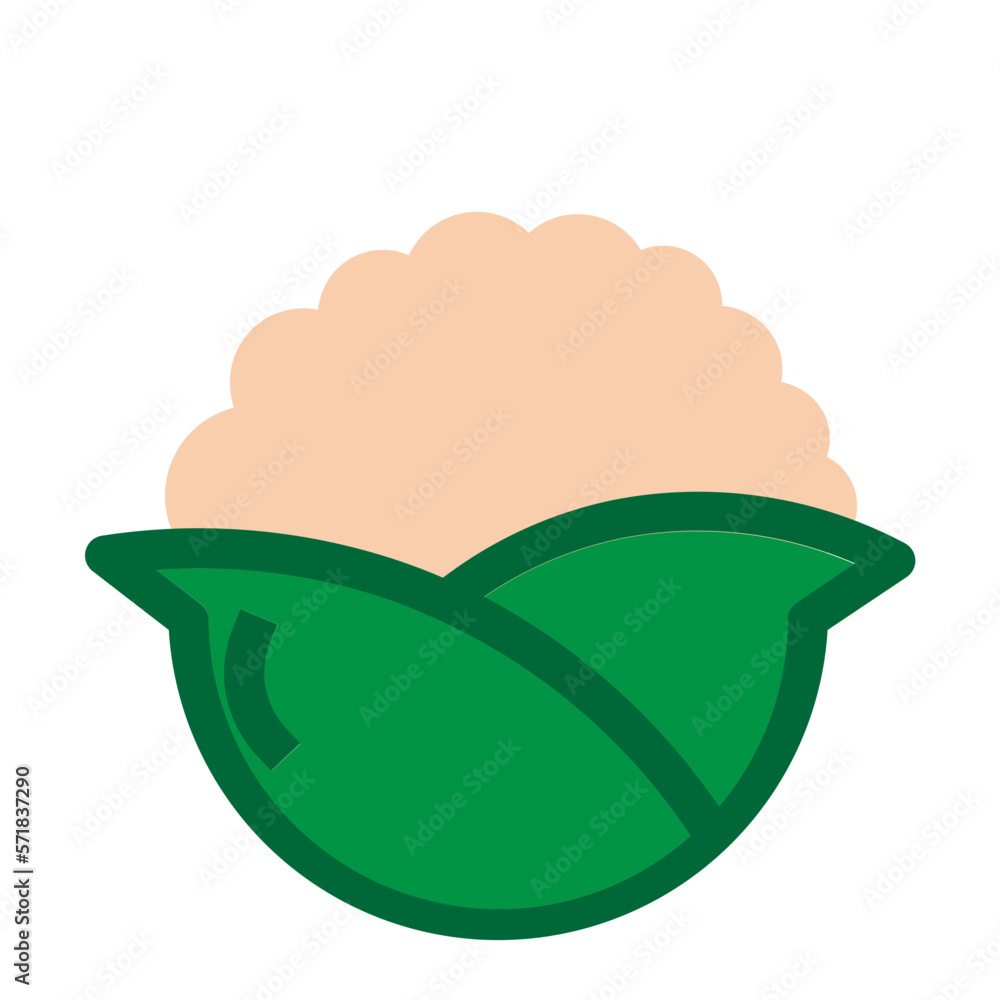 Cabbage Flat Icon