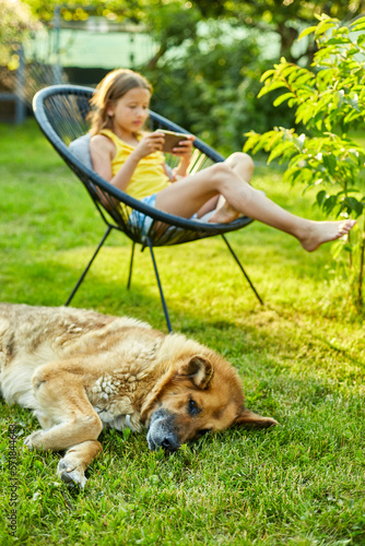 Dog laying on the grass, cute kid girl playing game on mobile phone