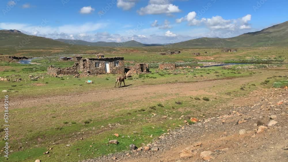 Donkey trailing rope at picturesque rural farmhouse in Lesotho Africa Donkey trailing rope at picturesque rural farmhouse in Lesotho Africa