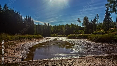 Small natural lake gradually drying up on sunny day in rural landscape. Timelapse