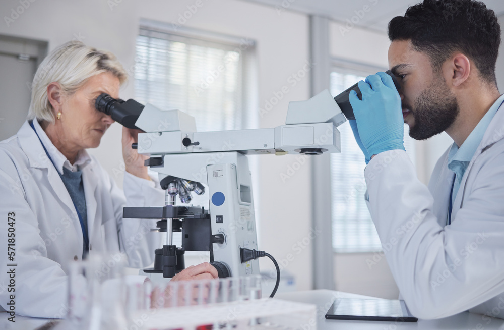 Research, microscope and science people teamwork, medical analysis and exam in laboratory. Biotechnology, pharmaceutical medicine and scientist internship or student with professional senior doctor Research, microscope and science people teamwork, medical analysis and exam in laboratory. Biotechnology, pharmaceutical medicine and scientist internship or student with professional senior doctor