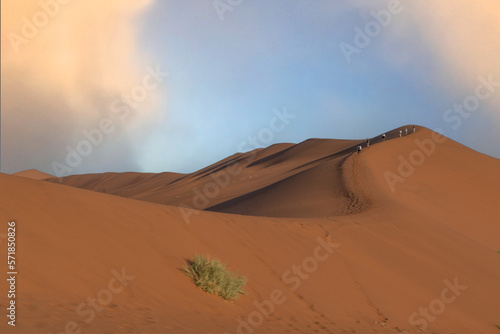 huge sand dunes in the Namib Desert with trees in the foreground of Namibia