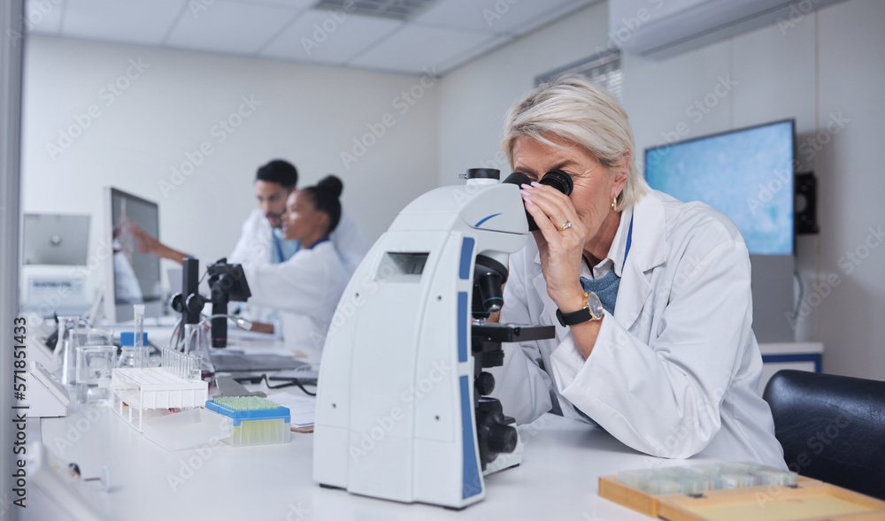 Senior woman, microscope and scientist in laboratory for research, experiment or innovation. Science, biotechnology and elderly female doctor with medical equipment for sample analysis or testing. Senior woman, microscope and scientist in laboratory for research, experiment or innovation. Science, biotechnology and elderly female doctor with medical equipment for sample analysis or testing.